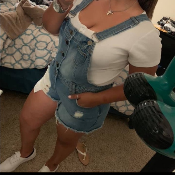donkey2101